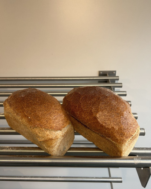 petit pain complet