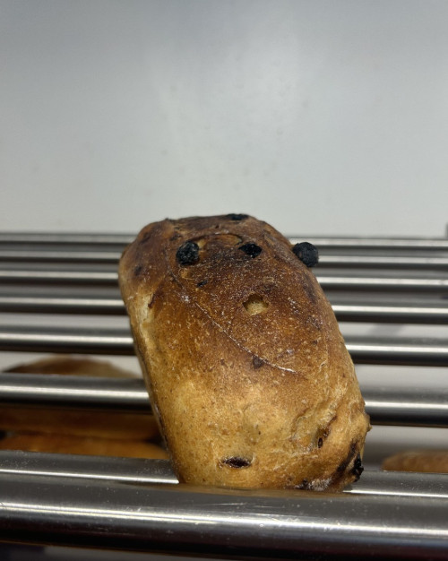 pain campagne aux raisins