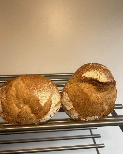 pain de campagne